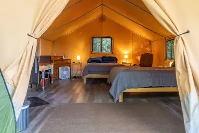 Image de Safari Glamping Tent | Forest Retreat & Hot Tubs!