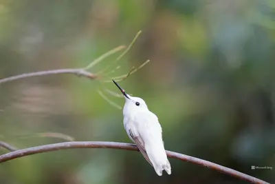 Image de Serene 3-bedroom house with lots of space and large views of the charming town.