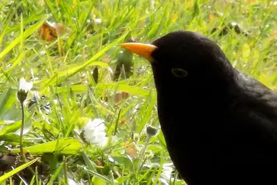 Image de Apartment Haus Elena