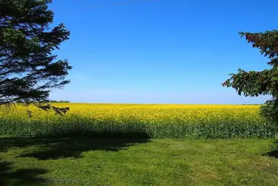 Image de Appartement de vacances avec 2 chambres