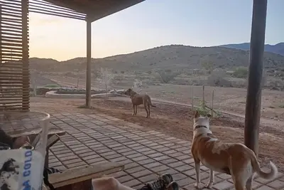 Image de Rocky Sands - Klein Karoo R62