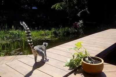 Image de Kaiserlounge Harald Astner - Alpine chalet with charm & mountain views