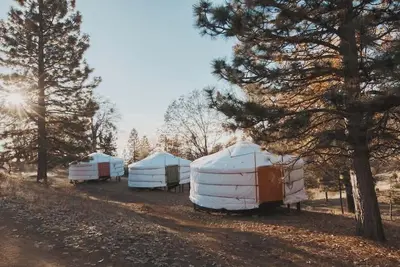 Image de Cosy yurt at a nature retreat