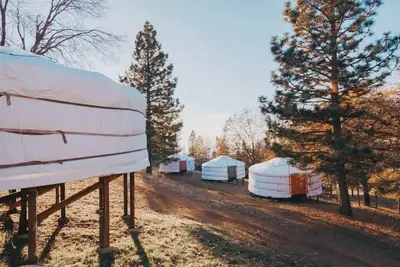 Image de Glamping yurt at nature retreat in Sequoia NForest