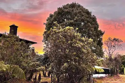 Image de Pali’uli Estate has an old Hawaiian country feel in a tropical rain forest.