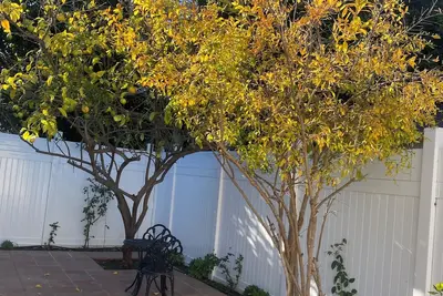 Image de Brand new 1-bedroom cottage with A/C and private fenced yard in West Los Angeles