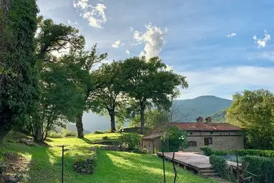 Image de \" The Court of Ranco \"