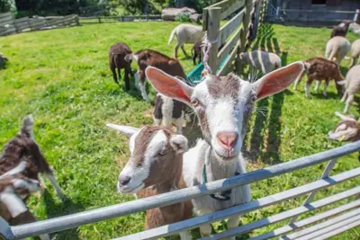 Image de 2 Bed in Llanbedrog (oc-c32640)