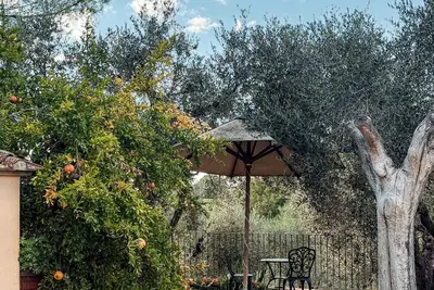 Image de Luxury Tuscan Villa with Pool, Bbq & Vineyard Views - Perfect for Families