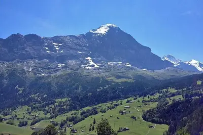 Image de Chalet Bachsbort 14 by Interhome