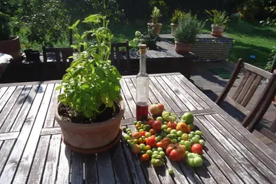 Image de in ruhiger Lage am Waldrand by Interhome