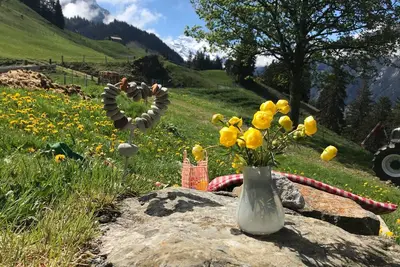 Image de Hofuri, 1300m by Interhome