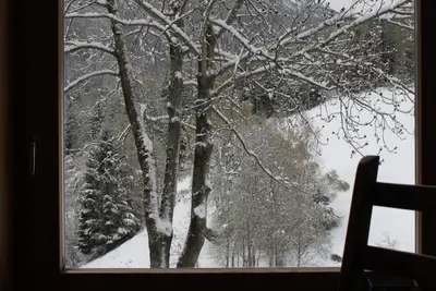 Image de Maiensäss La Scera by Interhome