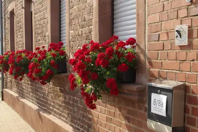 Image de Hochwertige Ferienwohnung mit Terrasse und Garten by Interhome