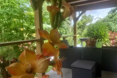 Éden Home Accès Rivière