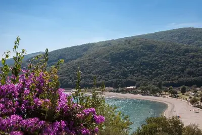 Image de Drei-Zimmer-Wohnung Rita, in der Nähe des Strandes by Interhome