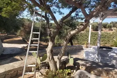 Image de Villa Valle degli Ulivi by Interhome