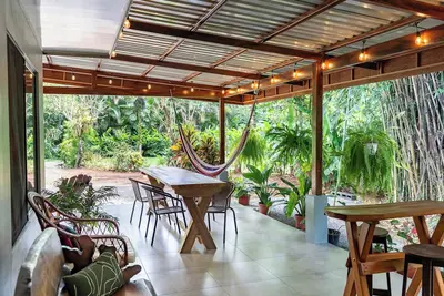 Image de Hummingbird jungle