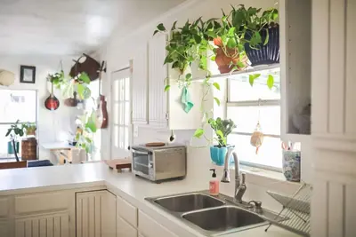 Image de Stylish Musician`s Flat With Creekside Garden