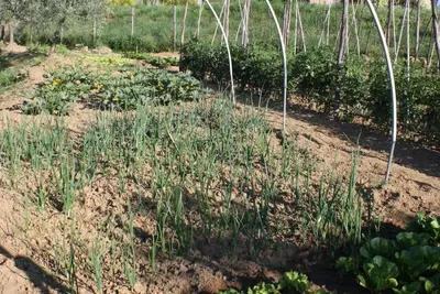 Image de Edoardo' Ferienwohnung mit Pool by Interhome