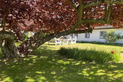 Image de Renovated Skåne farmhouse with generous living areas and lush garden