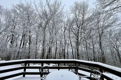 Image de ❄️ Forest Edge | Updated Family Friendly Retreat • Fireplace • Walk to Shuttle