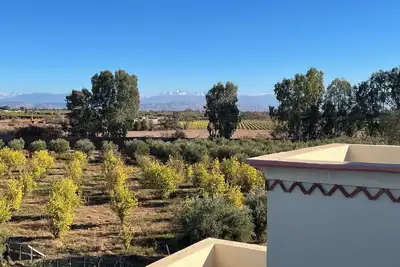 Image de Villa Dar Salma à Marrakech – Grand jardin, piscine & hammam