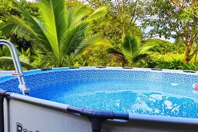 Image de Peace of the Forest Sarapiqui