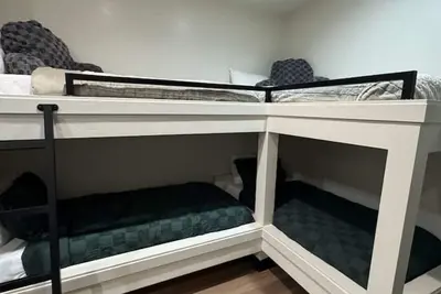 Image de The Ziggy `Get Ziggy with it`