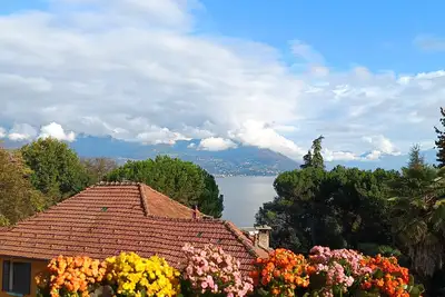 Image de Lake Major Gem Gold