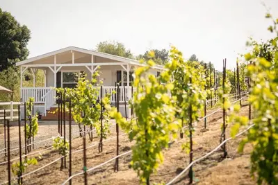 Image de Charming 3-bedroom house on family vineyard in Temecula Wine country
