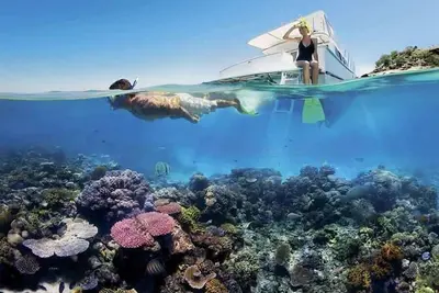 Image de Airlie Beach Apartment - Pool & Garden Retreat