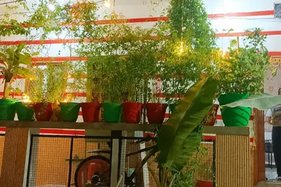 Veena Vihar (Luxury Rooms)