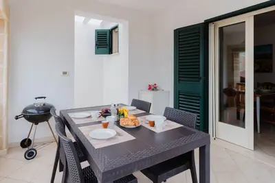 Image de Shell by Vivimy