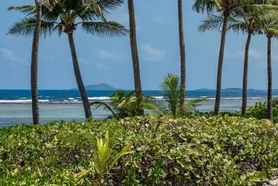 Image de A Turtle Cove! Enjoy Paradise, walking distance to the Caribbean Sea!