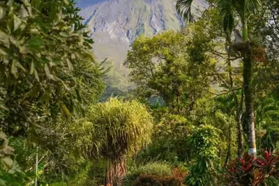 Image de Lumbres Arenal | Volcano View Retreat