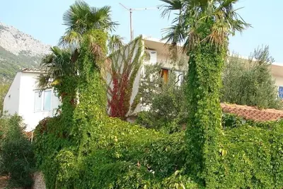 Image de Garçonnière avec le balcon Gradac, Makarska (As-24960-a)
