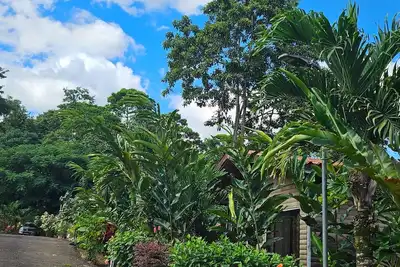 Image de Cozy 1-bedroom cabin In san Isidro Peñas blancas 25 minutos from la fortuna