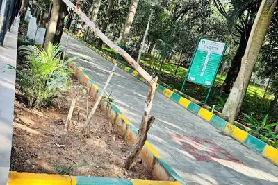 Image de 2 Bhk Next to the Beautiful Park - 201