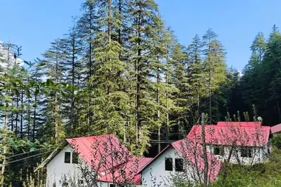 Spacious 4-bedroom cottage  surrounded by deodar trees