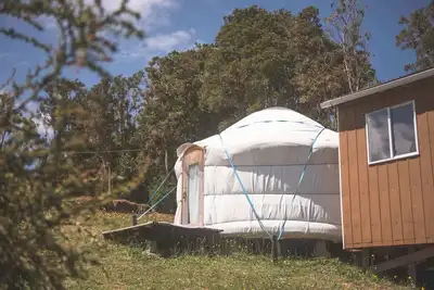 Image de Buho | Eco Yurt Rayen Pülli | A/C Parking Wifi