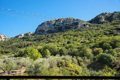 Immersi nella natura