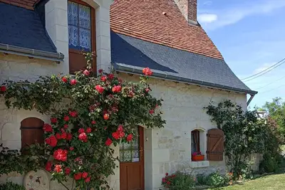 Image de Gîte Roses De Loire avec terrasse privée et Wi-Fi à Bréhémont