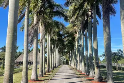 Image de Retiro wellness privado en Miami - Naturaleza, descanso y conexión