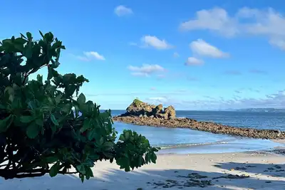 Image de Esencia de Miel Villas & Boutique Safari