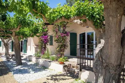 Cabernet - Domaine de la Navicelle