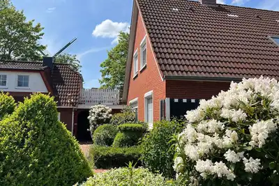 Image de Vacation apartment/apartment for 6 guests with 70m² in Greetsiel (305934)