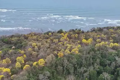 Image de Tranquil - 2 bed rooms cabin at the beach in a marine reserve in Galera, Ecuador