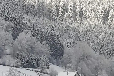 Image de Chalet typique et tranquille dans la montagne vosgienne