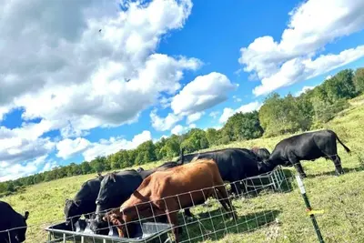 Image de Farmhouse Stay w/Deck, Pond, Cows & Country Views